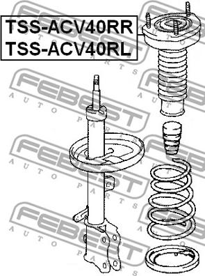 Febest TSS-ACV40RR - Supporto ammortizzatore a molla www.autoricambit.com