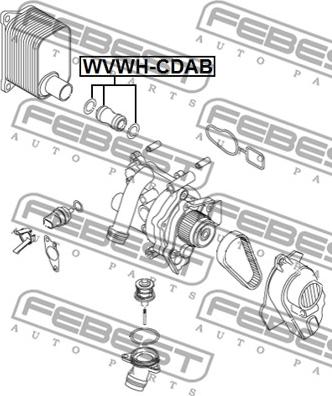 Febest VWWH-CDAB - Flessibile radiatore www.autoricambit.com