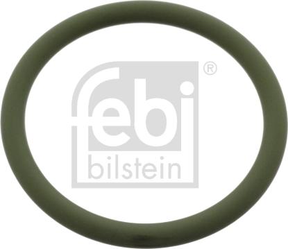 Febi Bilstein 49582 - Guarnizione, Pompa olio www.autoricambit.com