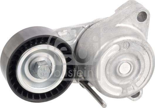 Febi Bilstein 49870 - Tendicinghia, Cinghia Poly-V www.autoricambit.com