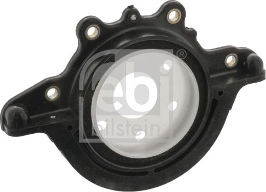 Febi Bilstein 46378 - Paraolio, Albero a gomiti www.autoricambit.com