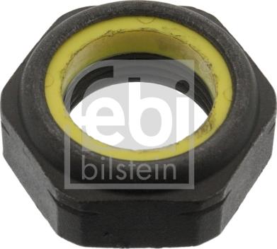 Febi Bilstein 06243 - Dado, Fuso dell'asse www.autoricambit.com