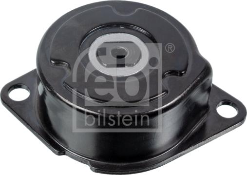 Febi Bilstein 14736 - Tendicinghia, Cinghia Poly-V www.autoricambit.com