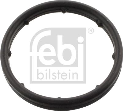 Febi Bilstein 101404 - Guarnizione, Radiatore olio www.autoricambit.com