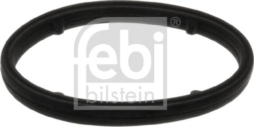 Febi Bilstein 101399 - Guarnizione, Radiatore olio www.autoricambit.com