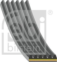 Febi Bilstein 184917 - Cinghia Poly-V www.autoricambit.com