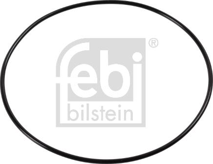 Febi Bilstein 174007 - Paraolio, Cuscinetto ruota www.autoricambit.com