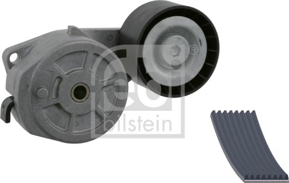 Febi Bilstein 31625 - Kit Cinghie Poly-V www.autoricambit.com