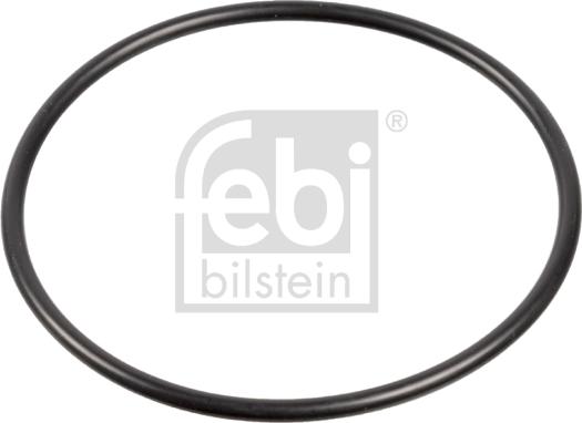 Febi Bilstein 29493 - Anello di tenuta www.autoricambit.com