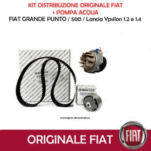 FIAT 71776007 - Pompa acqua + Kit cinghie dentate www.autoricambit.com
