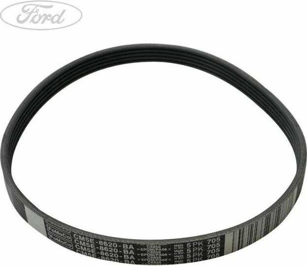 FORD 5113695 - Cinghia Poly-V www.autoricambit.com