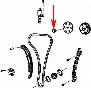 FORD 1342409 - Kit catena distribuzione www.autoricambit.com