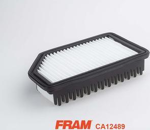 FRAM CA12489 - Filtro aria www.autoricambit.com