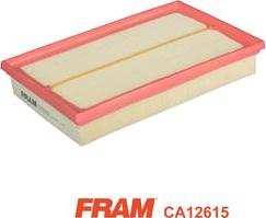 FRAM CA12615 - Filtro aria www.autoricambit.com