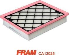 FRAM CA12025 - Filtro aria www.autoricambit.com