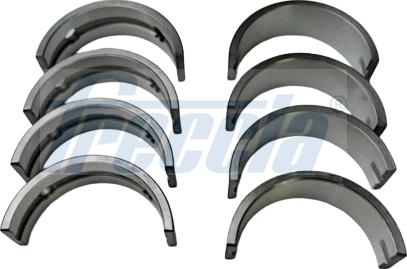 Freccia MB19-102600 - Kit cuscinetto albero a gomiti www.autoricambit.com