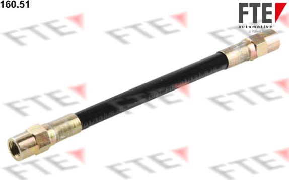 FTE 160.51 - Flessibile del freno www.autoricambit.com