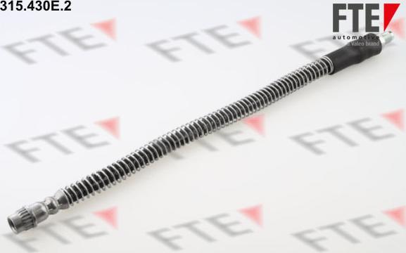 FTE 315.430E.2 - Flessibile del freno www.autoricambit.com