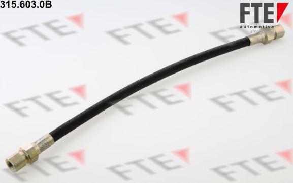 FTE 315.603.0B - Flessibile del freno www.autoricambit.com