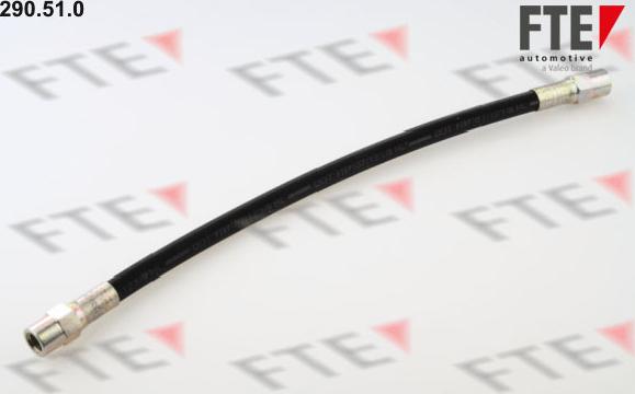 FTE 290.51.0 - Flessibile del freno www.autoricambit.com