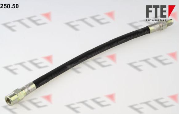 FTE 250.50 - Flessibile del freno www.autoricambit.com