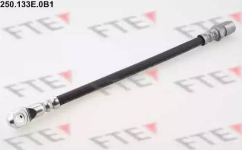 FTE 250.133E.0B1 - Flessibile del freno www.autoricambit.com