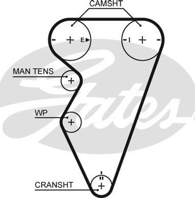 Gates 5416XS - Cinghia dentata www.autoricambit.com