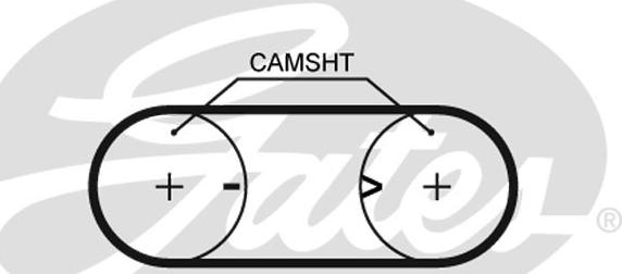 Gates 5417XS - Cinghia dentata www.autoricambit.com