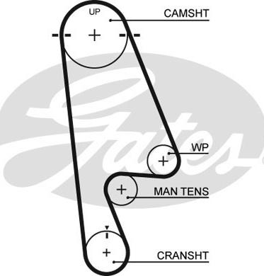 Gates K015480XS - Kit cinghie dentate www.autoricambit.com