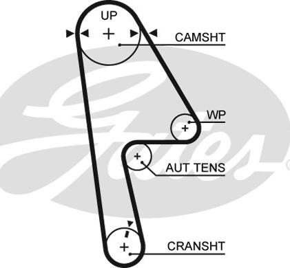 Gates K015593XS - Kit cinghie dentate www.autoricambit.com