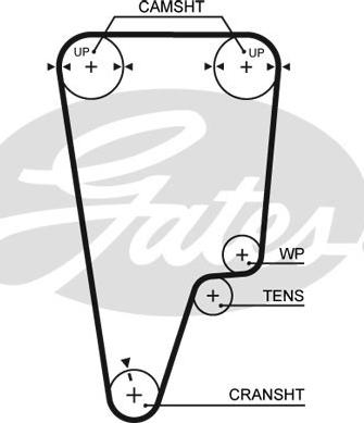 Gates 5506XS - Cinghia dentata www.autoricambit.com