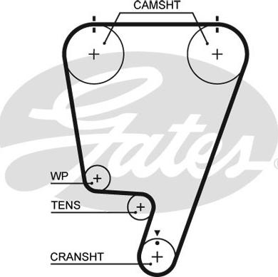 Gates 5643XS - Cinghia dentata www.autoricambit.com