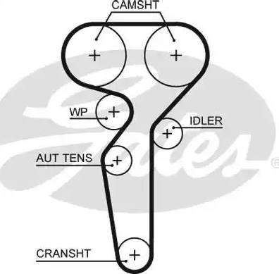 Gates 5655XS - Cinghia dentata www.autoricambit.com