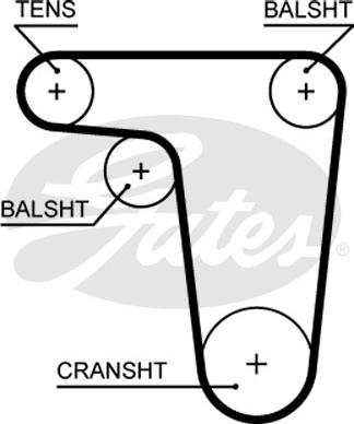 Gates 5618XS - Cinghia dentata www.autoricambit.com