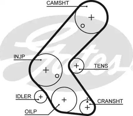 Gates 5679XS - Cinghia dentata www.autoricambit.com