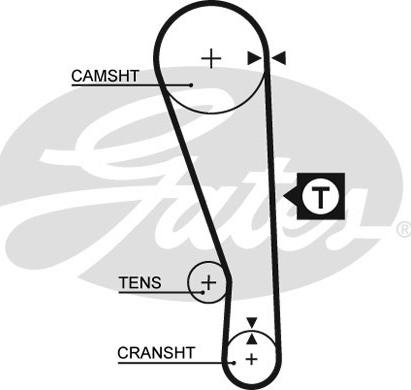 Gates 5036 - Cinghia dentata www.autoricambit.com