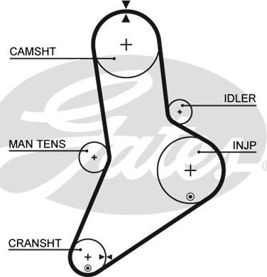 Gates 5038 - Cinghia dentata www.autoricambit.com