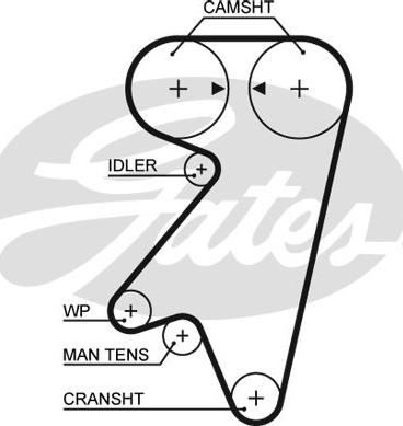 Gates 5191 - Cinghia dentata www.autoricambit.com