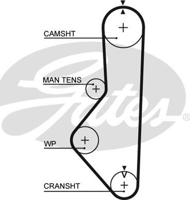 Gates 5149XS - Cinghia dentata www.autoricambit.com