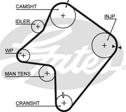 Gates 5354XS - Cinghia dentata www.autoricambit.com