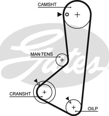 Gates 5254XS - Cinghia dentata www.autoricambit.com