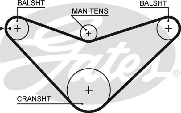 Gates K015234XS - Kit cinghie dentate www.autoricambit.com