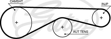 Gates 5704XS - Cinghia dentata www.autoricambit.com