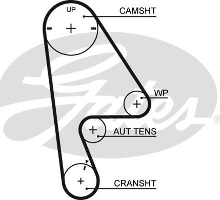 Gates 1410RM - Cinghia dentata www.autoricambit.com