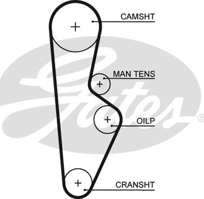 Gates 1082RM - Cinghia dentata www.autoricambit.com