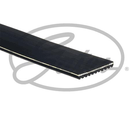 Gates 11446ES - Cinghia Poly-V www.autoricambit.com