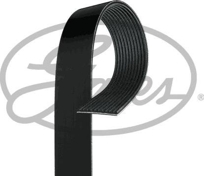 Gates 11PK2013HD - Cinghia Poly-V www.autoricambit.com