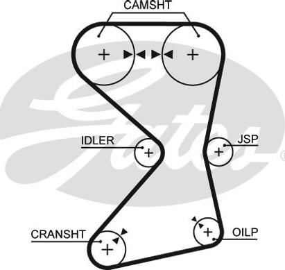 Gates 1258RM - Cinghia dentata www.autoricambit.com