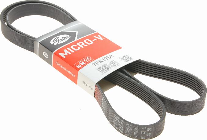 Gates 7PK1750 - Cinghia Poly-V www.autoricambit.com