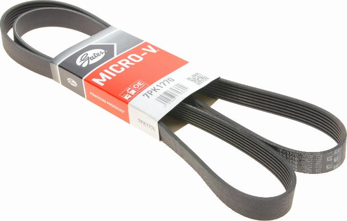 Gates 7PK1770 - Cinghia Poly-V www.autoricambit.com